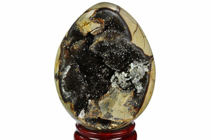 Septarian Dragon Egg Geode - Black Crystals #123031